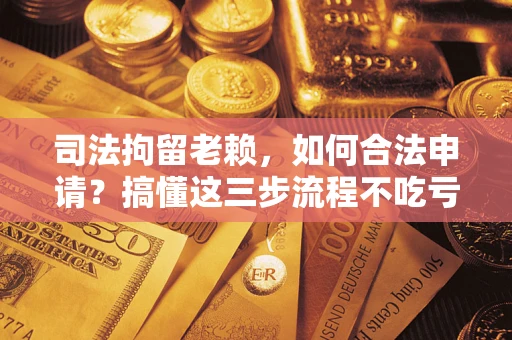 北京司法拘留老赖，如何合法申请？搞懂这三步流程不吃亏！